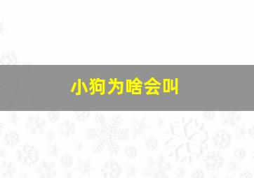 小狗为啥会叫