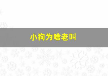 小狗为啥老叫