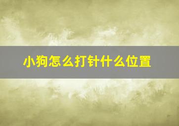 小狗怎么打针什么位置