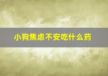 小狗焦虑不安吃什么药