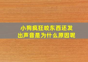 小狗疯狂咬东西还发出声音是为什么原因呢