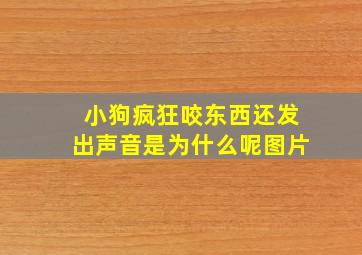 小狗疯狂咬东西还发出声音是为什么呢图片