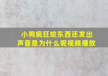 小狗疯狂咬东西还发出声音是为什么呢视频播放