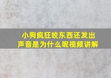 小狗疯狂咬东西还发出声音是为什么呢视频讲解