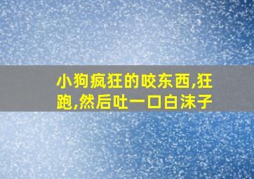 小狗疯狂的咬东西,狂跑,然后吐一口白沫子