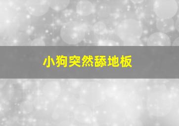 小狗突然舔地板