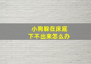 小狗躲在床底下不出来怎么办