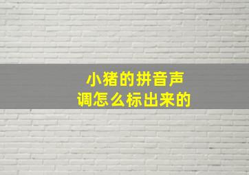 小猪的拼音声调怎么标出来的