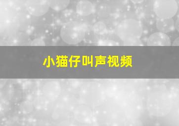 小猫仔叫声视频