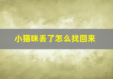 小猫咪丢了怎么找回来