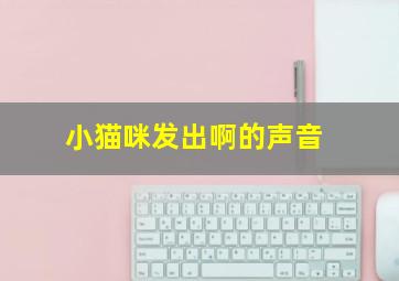 小猫咪发出啊的声音