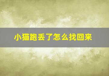 小猫跑丢了怎么找回来