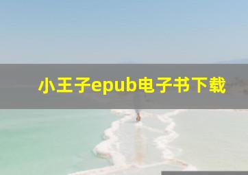 小王子epub电子书下载