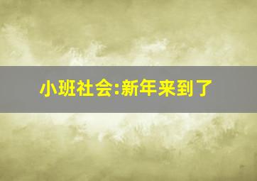 小班社会:新年来到了