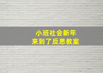 小班社会新年来到了反思教案