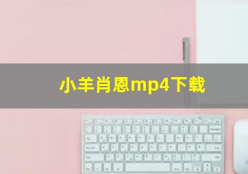 小羊肖恩mp4下载