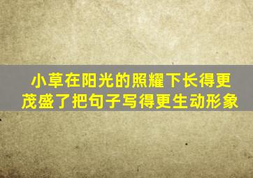 小草在阳光的照耀下长得更茂盛了把句子写得更生动形象