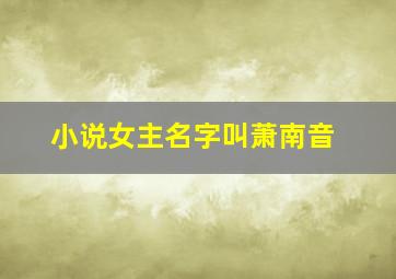 小说女主名字叫萧南音