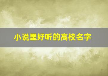 小说里好听的高校名字