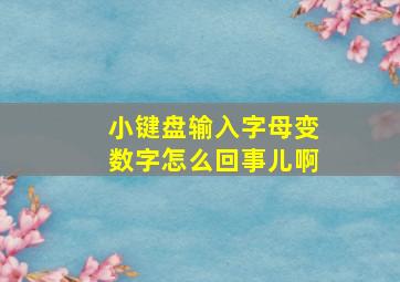 小键盘输入字母变数字怎么回事儿啊