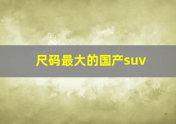 尺码最大的国产suv