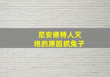 尼安德特人灭绝的原因抓兔子