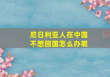 尼日利亚人在中国不想回国怎么办呢