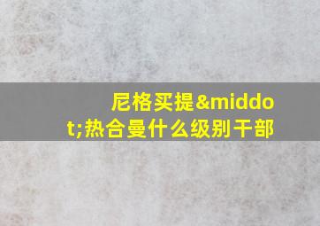 尼格买提·热合曼什么级别干部