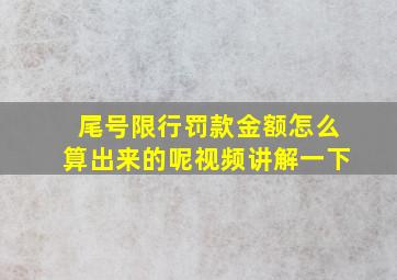 尾号限行罚款金额怎么算出来的呢视频讲解一下