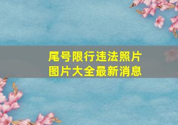 尾号限行违法照片图片大全最新消息