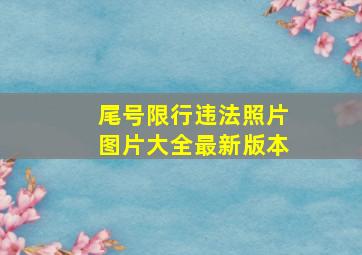 尾号限行违法照片图片大全最新版本