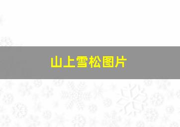 山上雪松图片