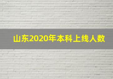 山东2020年本科上线人数