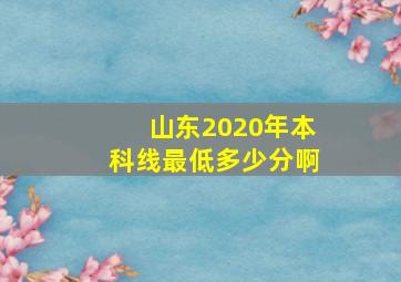 山东2020年本科线最低多少分啊