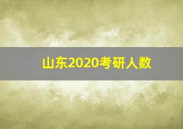 山东2020考研人数