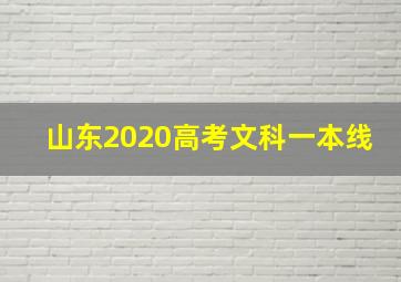 山东2020高考文科一本线