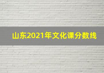 山东2021年文化课分数线