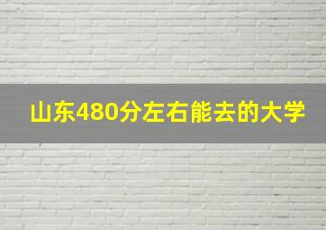 山东480分左右能去的大学