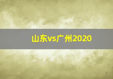 山东vs广州2020