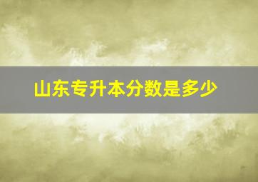 山东专升本分数是多少