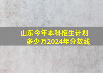 山东今年本科招生计划多少万2024年分数线