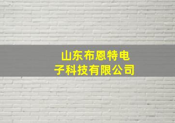 山东布恩特电子科技有限公司