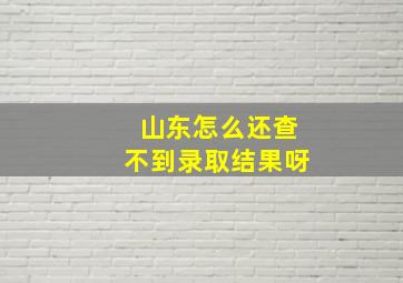 山东怎么还查不到录取结果呀