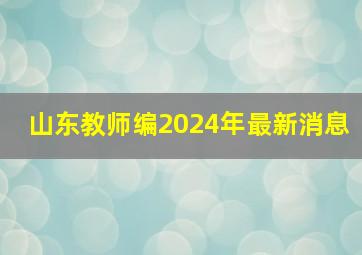 山东教师编2024年最新消息