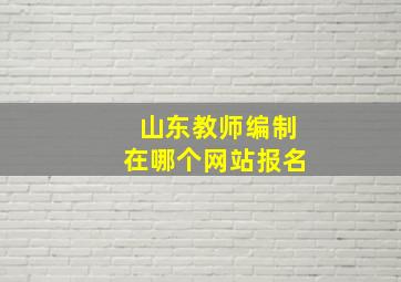 山东教师编制在哪个网站报名