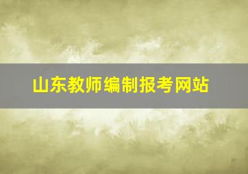 山东教师编制报考网站