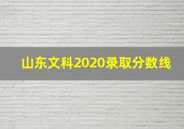 山东文科2020录取分数线