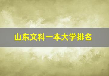 山东文科一本大学排名