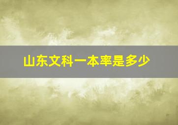 山东文科一本率是多少