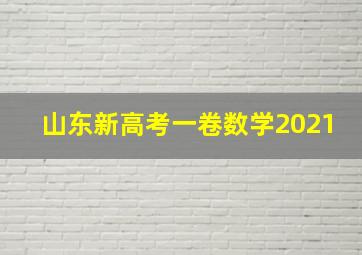 山东新高考一卷数学2021